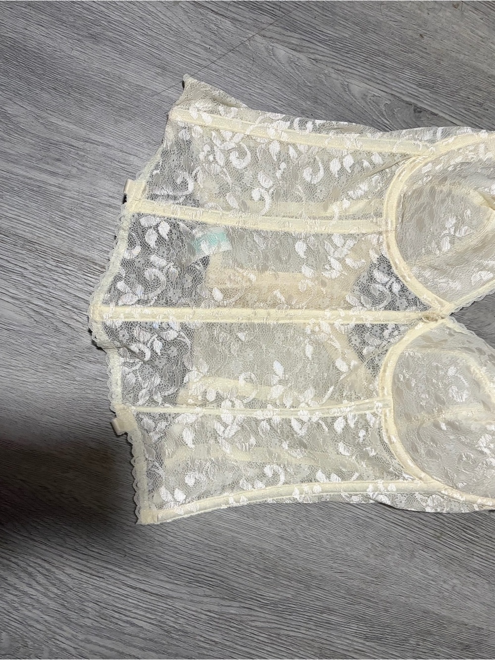 GANZ Ivory Lace Bustier with Floral Sheer Panels
